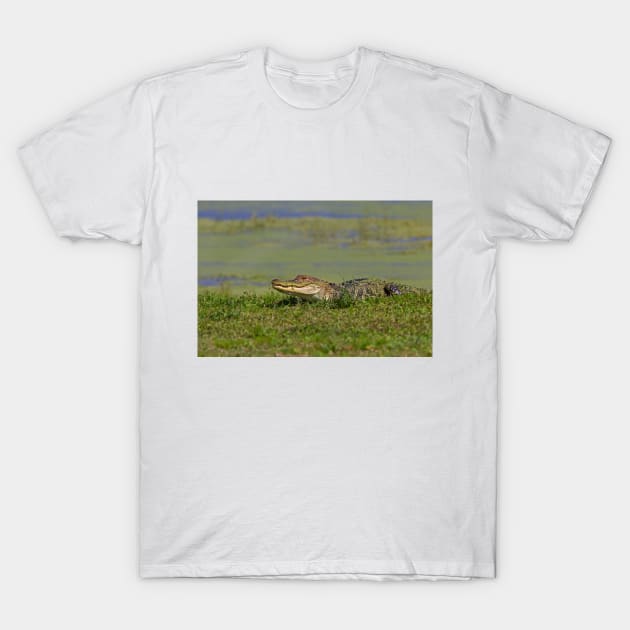 See ya later alligator T-Shirt by Jim Cumming